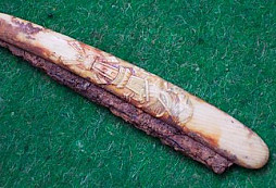 Nové nálezy od Ladi