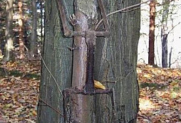 Nálezy od Ladi (WW II. - Německo)