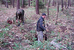 Jak jsme hledali u Milovic