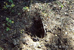 Fernet a Kuna v Rudolci
