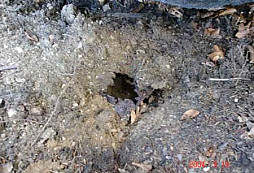 Reportáž z nedělního hledání