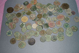 Trocha měďáků polních od Šeldy