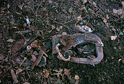 Muzika z počátku století