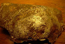 Macourovo podzimní nálezy