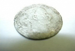 Stříbrňáček od Lokuse