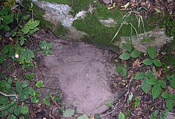 Středeční akce s Hanzem