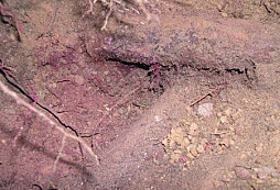 Dvě konve ze stráně