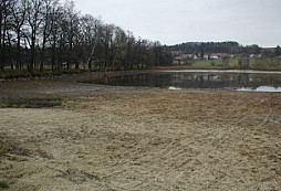 Chameleonek v rybníčku