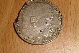 Identifikace platidla