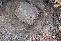 Reportáž z neděle