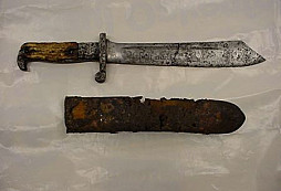 Vyčištěnej nalezenec