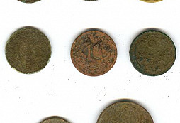 Zapomenutá lesní cesta