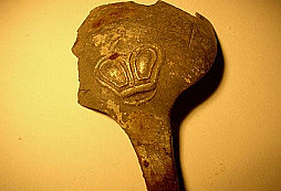 Jak jsme s Keltem hledali krtky!