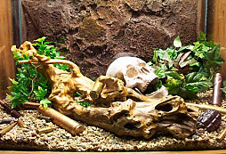 Perkinsovo Militárium