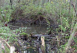 Nalezení podzemního krytu na Ptachinské výšině