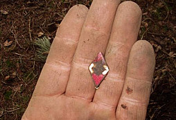 Další várka nových nálezů