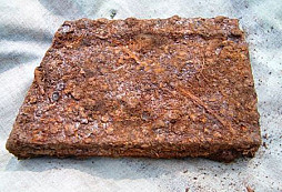 Nálezy od Szkodnika