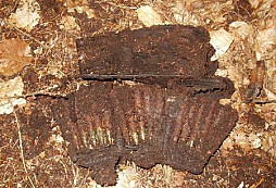 Dohledávka Chvaleč