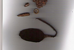 První nálezy od Ferneta