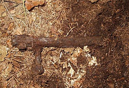 Nálezy od Myšáka ze 3. 6.