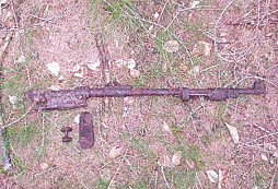 Nálezy ze dne 22.6. 04