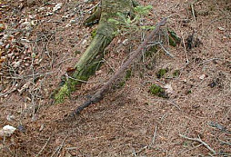 Super nálezy od Svena