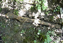 Moje čerstvé nálezy