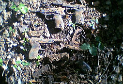 Hnízdo P 38 od Korose