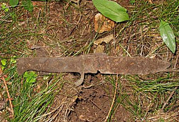 Nález ze dne 28.7. 04