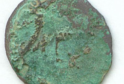 Mince k identifikaci