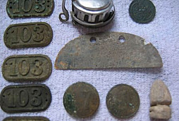 Výskyt Obšourníka pomezního náchodského