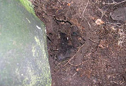 Něco militárií od Tibeťana