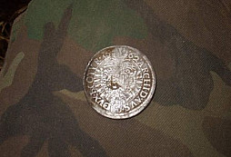 Stříbrňák polní II.