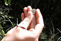 Procházka po klatovsku