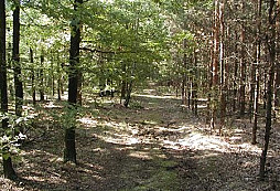 Víkend Machara a Vodníka