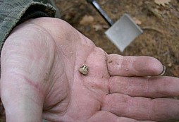 Novoroční mrcas 01.01.2005