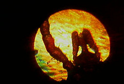 Co jsem nalezl aneb co si nalezlo mě