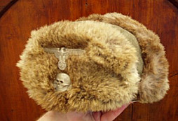 Beranice z popelnice