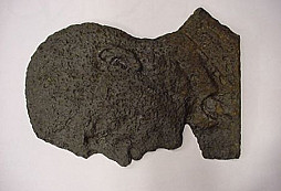 Beaxovo první nálezy roku 2005