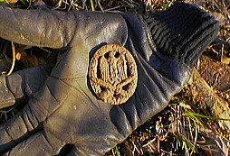 Nečekaný výsledek nedělního mrcasu s velkým M