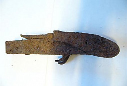 Nálezy v půli ledna