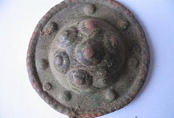 Pár nálezů z lesa