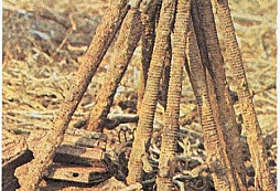 Kde jsou zbraně….?