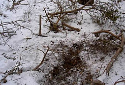 Zima a mrcas v polabské nížině