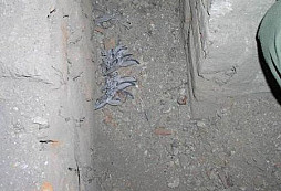 Až se jaro zeptá...