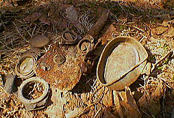 Něco málo z nedělní vycházky