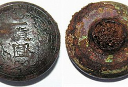 Co všechno roste v zemi