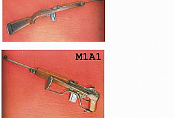 M1