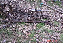 Pravidelné nedělné hledání