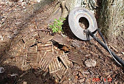 Pravidelná reportáž z neděle